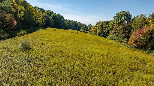 $450,000 | L11 Hall Road, Moravia, NY 13118