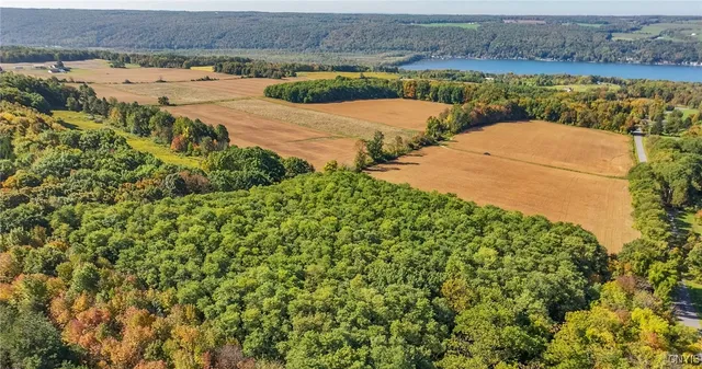 $450,000 | L11 Hall Road, Moravia, NY 13118