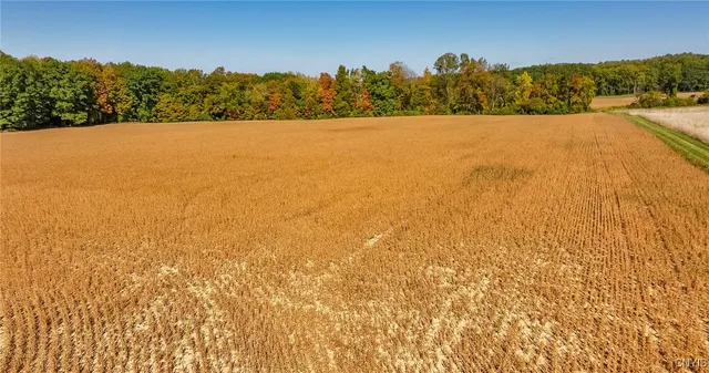 $450,000 | L11 Hall Road, Moravia, NY 13118