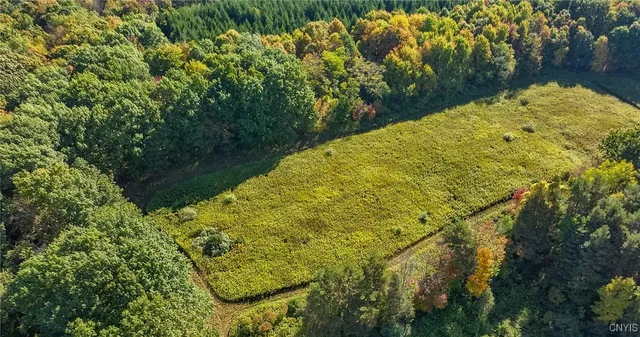 $450,000 | L11 Hall Road, Moravia, NY 13118