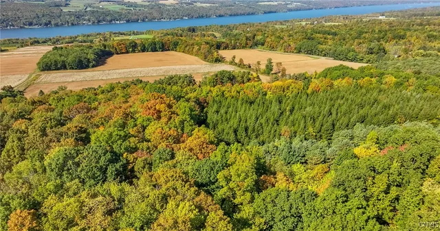 $450,000 | L11 Hall Road, Moravia, NY 13118