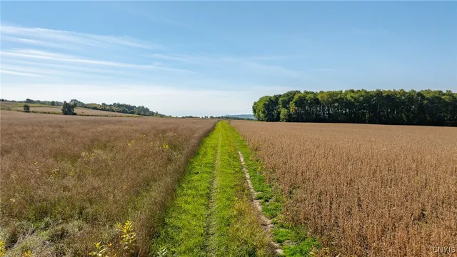 $450,000 | L11 Hall Road, Moravia, NY 13118