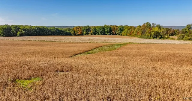 $450,000 | L11 Hall Road, Moravia, NY 13118