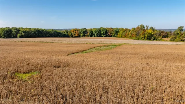 $450,000 | L11 Hall Road, Moravia, NY 13118