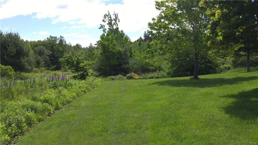 43 Raccoon Lane Cushing, ME 04563 - Photo 38 of 45 lawn with lupines