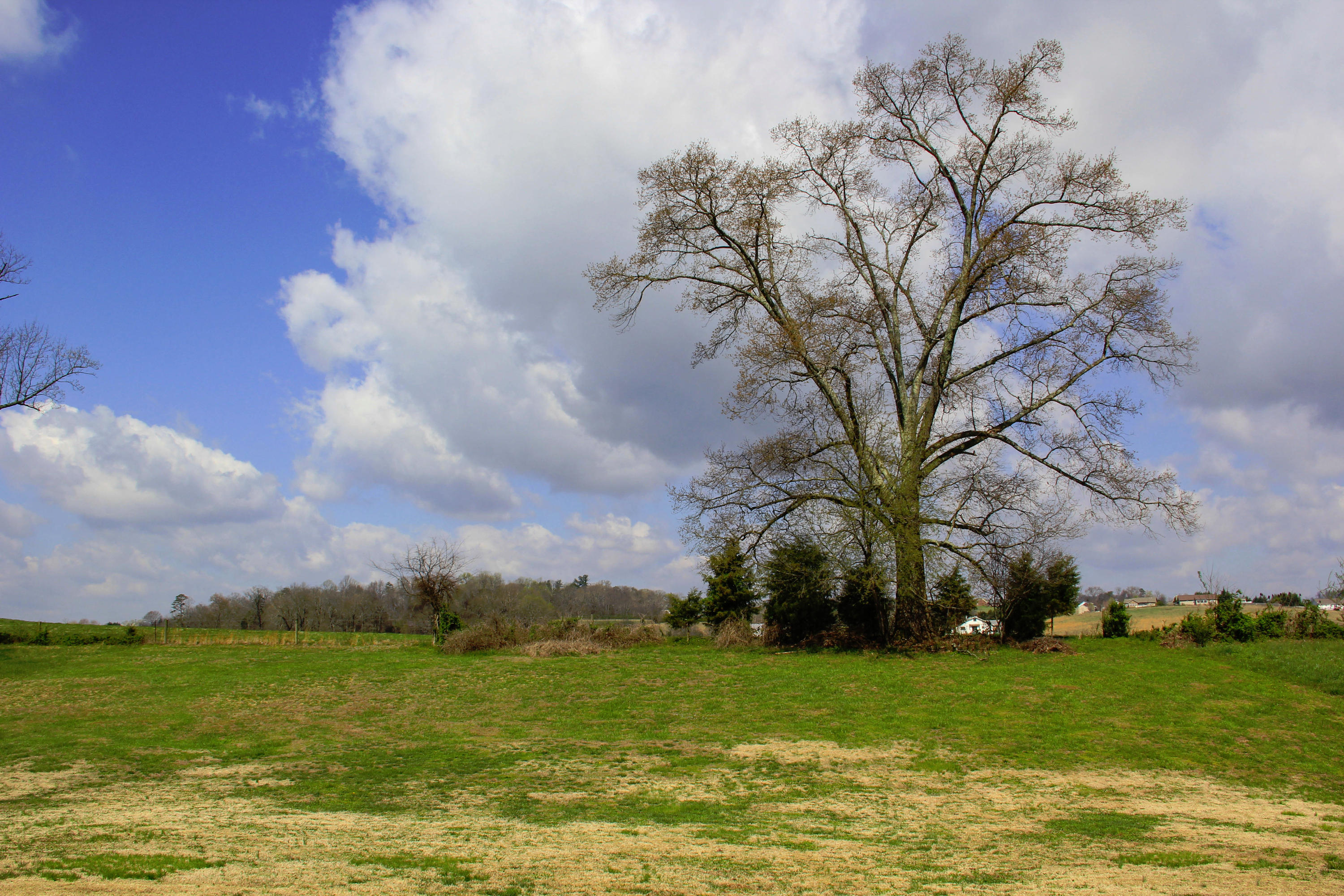1175 Houston Springs Road Greenback, TN 37742 - Photo 38 of 40 IMG_1329