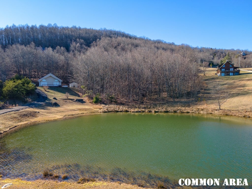 Cc Spring Pond Trail, Unit CC Fancy Gap, VA 24328 - Photo 46 of 46 Gallery Image 46