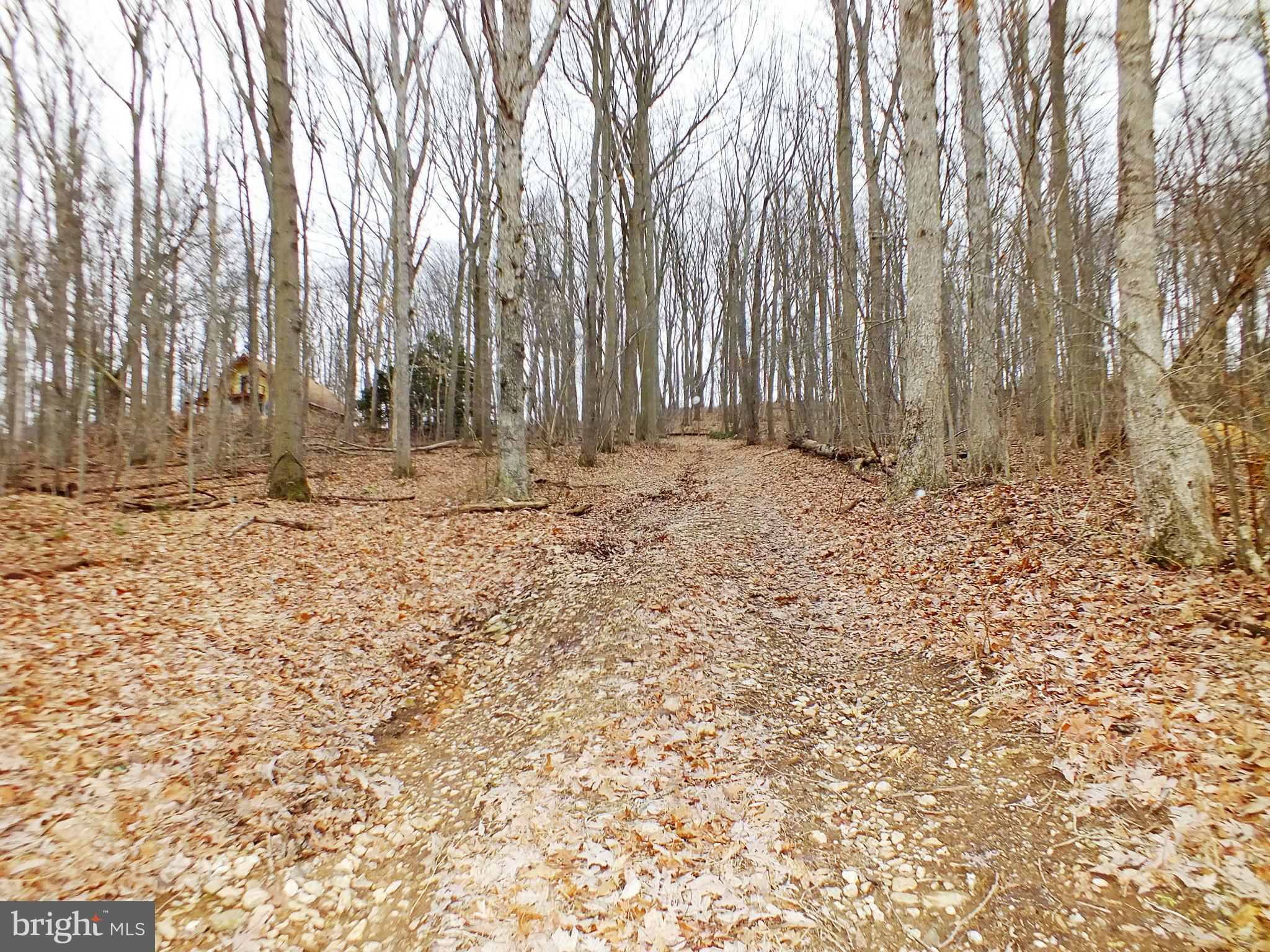 4211 York Road, Unit 1 Manchester, MD 21102 - Photo 25 of 30 Unpaved Driveway