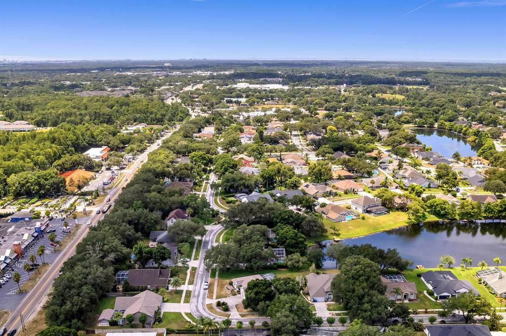 8412 Ridgebrook Circle Odessa, FL 33556 - Photo 71 of 87