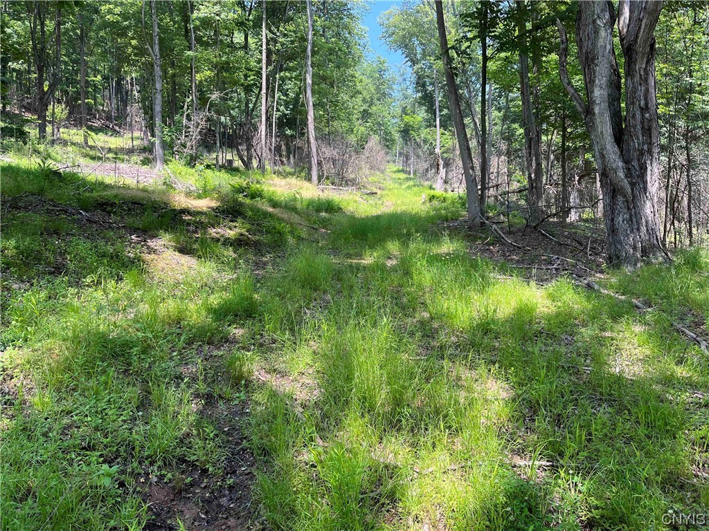 0 Gleason Hollow Road Belfast, NY 14711 - Photo 5 of 27 Gallery Image 5