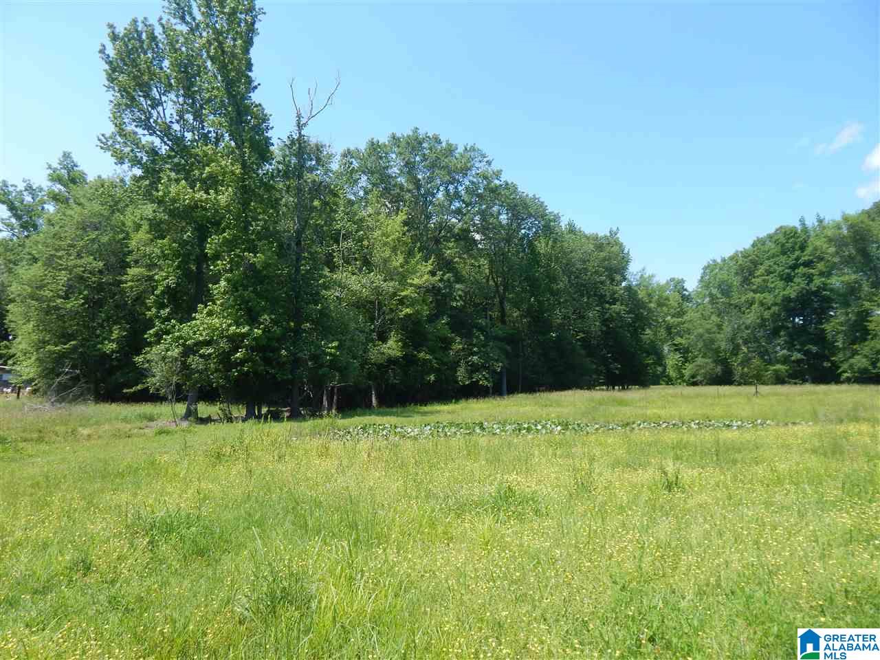 417 Old Stagecoach Road Woodstock, AL 35188 - Photo 9 of 17