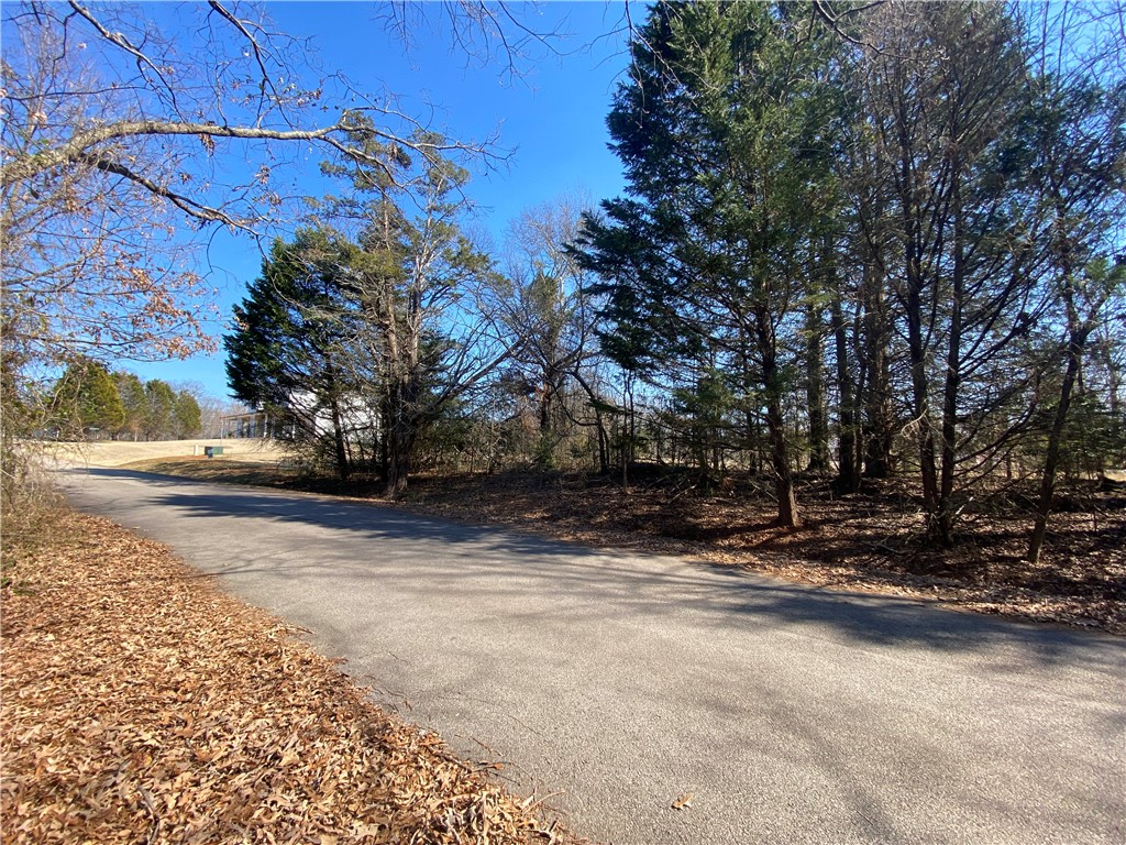 Lot 5 Majestic Shores Road Hartwell, GA 30643 - Photo 2 of 17 Lot 5