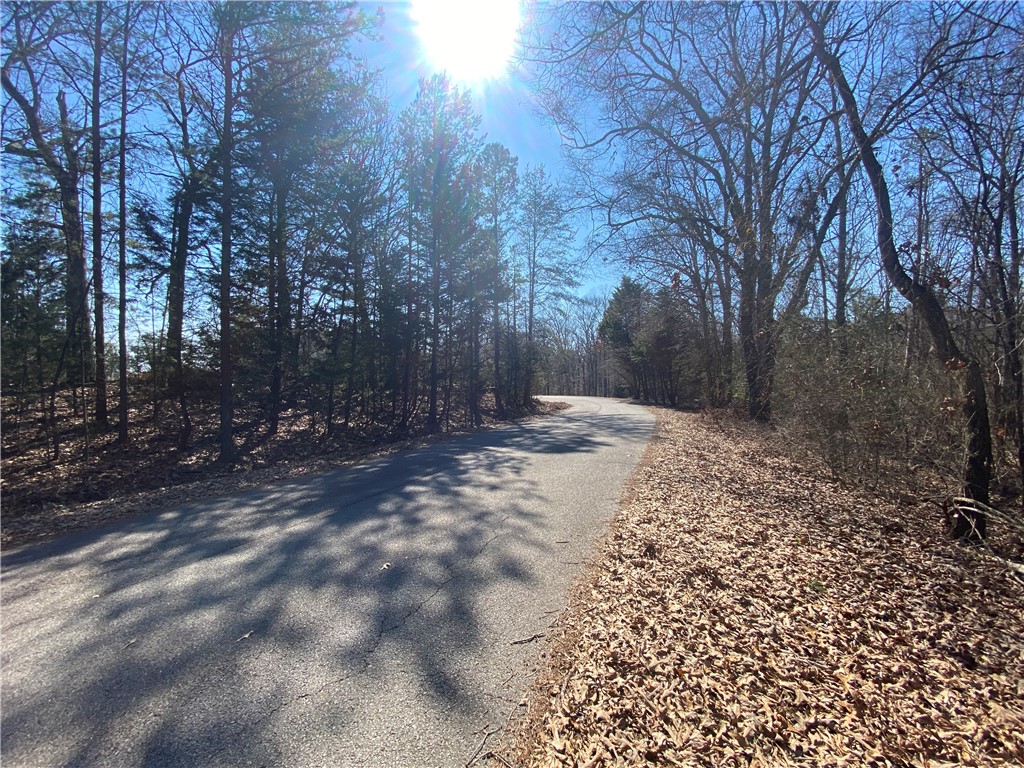 Lot 5 Majestic Shores Road Hartwell, GA 30643 - Photo 3 of 17 Lot 5