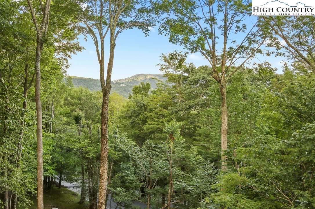 202 Upper Grouse Ridge Road Beech Mountain, NC 28604 - Photo 14 of 41