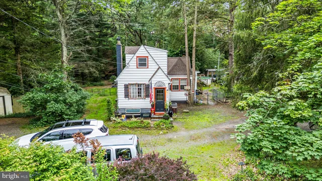 a view of a backyard with plants and a large tree