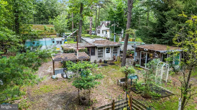 a view of a backyard with garden and plants