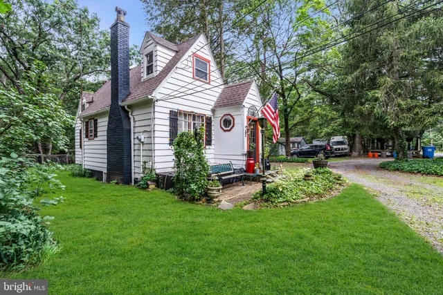 a view of a forest that has large trees