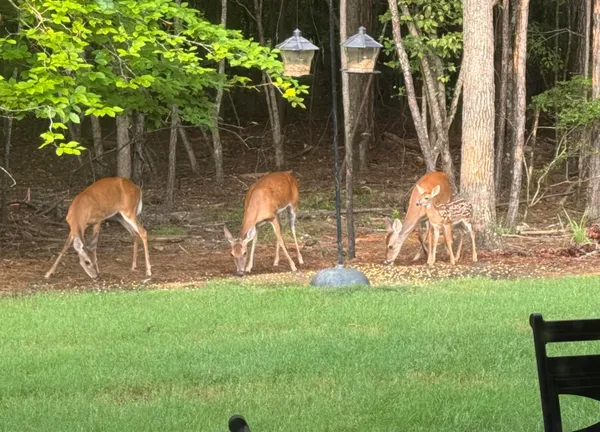 $399,000 | 206 Elizabeth Lane, McCormick, SC 29835