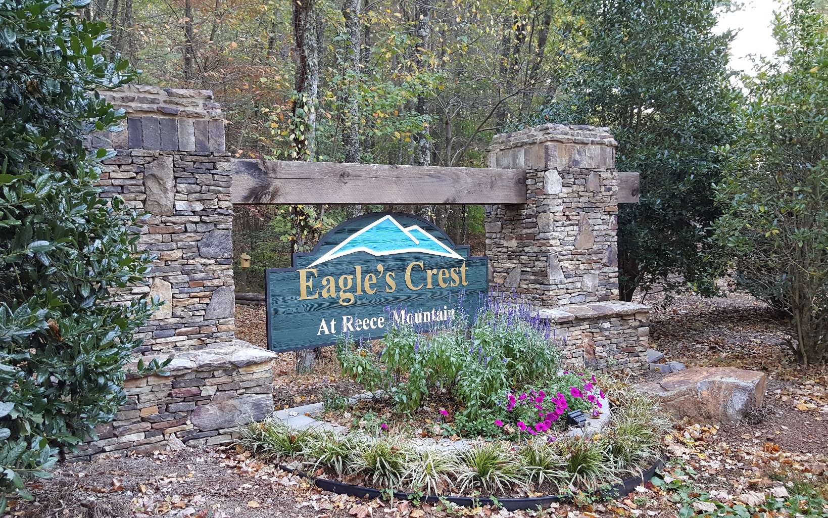 39 Reece Mountain Road Ellijay, GA 30536 - Photo 1 of 1 Main View