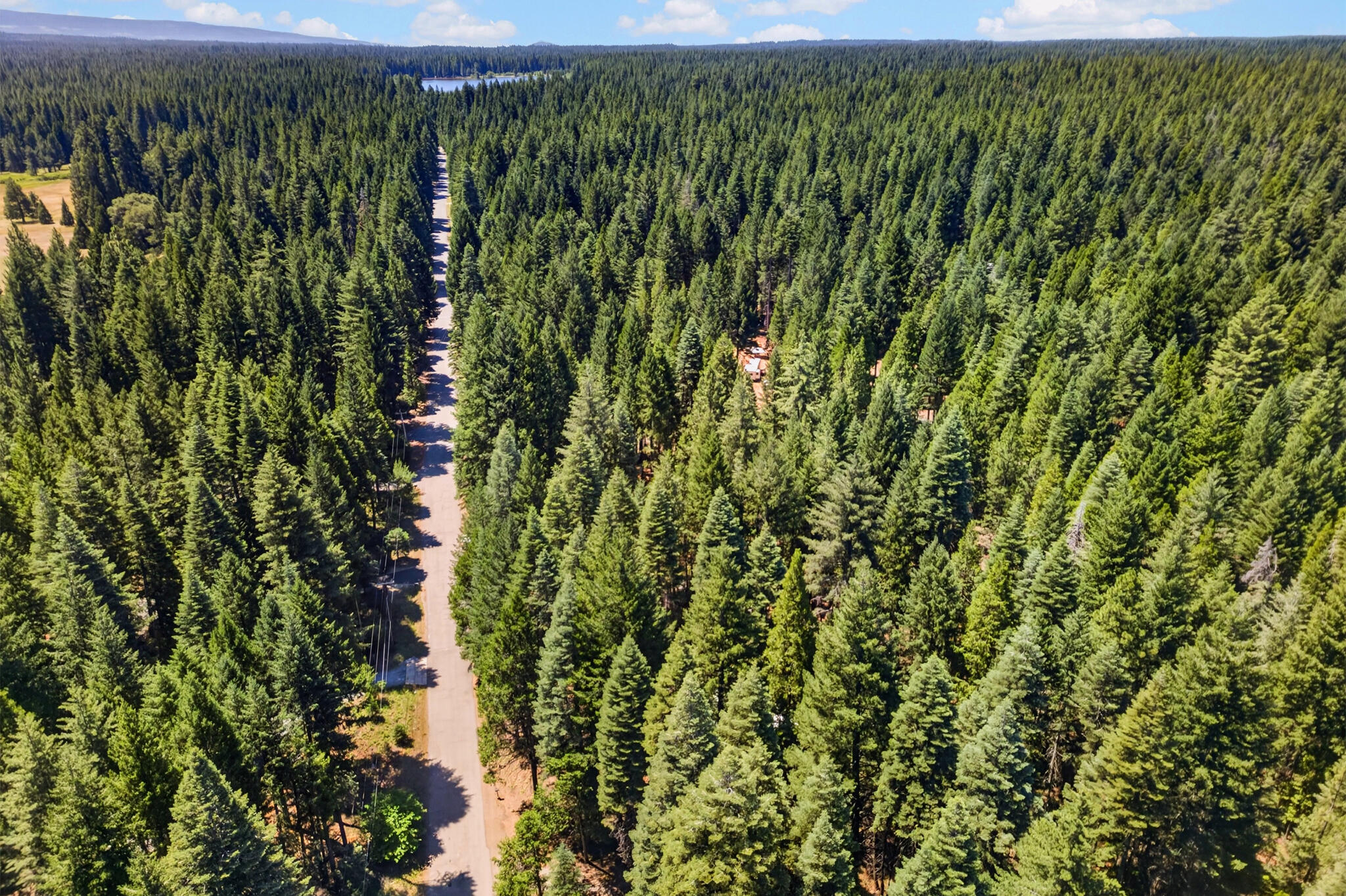 9426 Thatcher Mill Road Shingletown, CA 96088 - Photo 32 of 32 PixelsByPanitha_9426ThatcherMillRdShingl