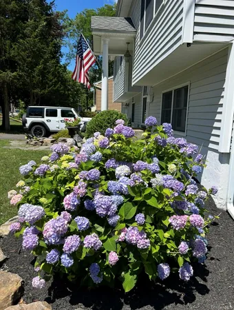 a front view of a house with a garden