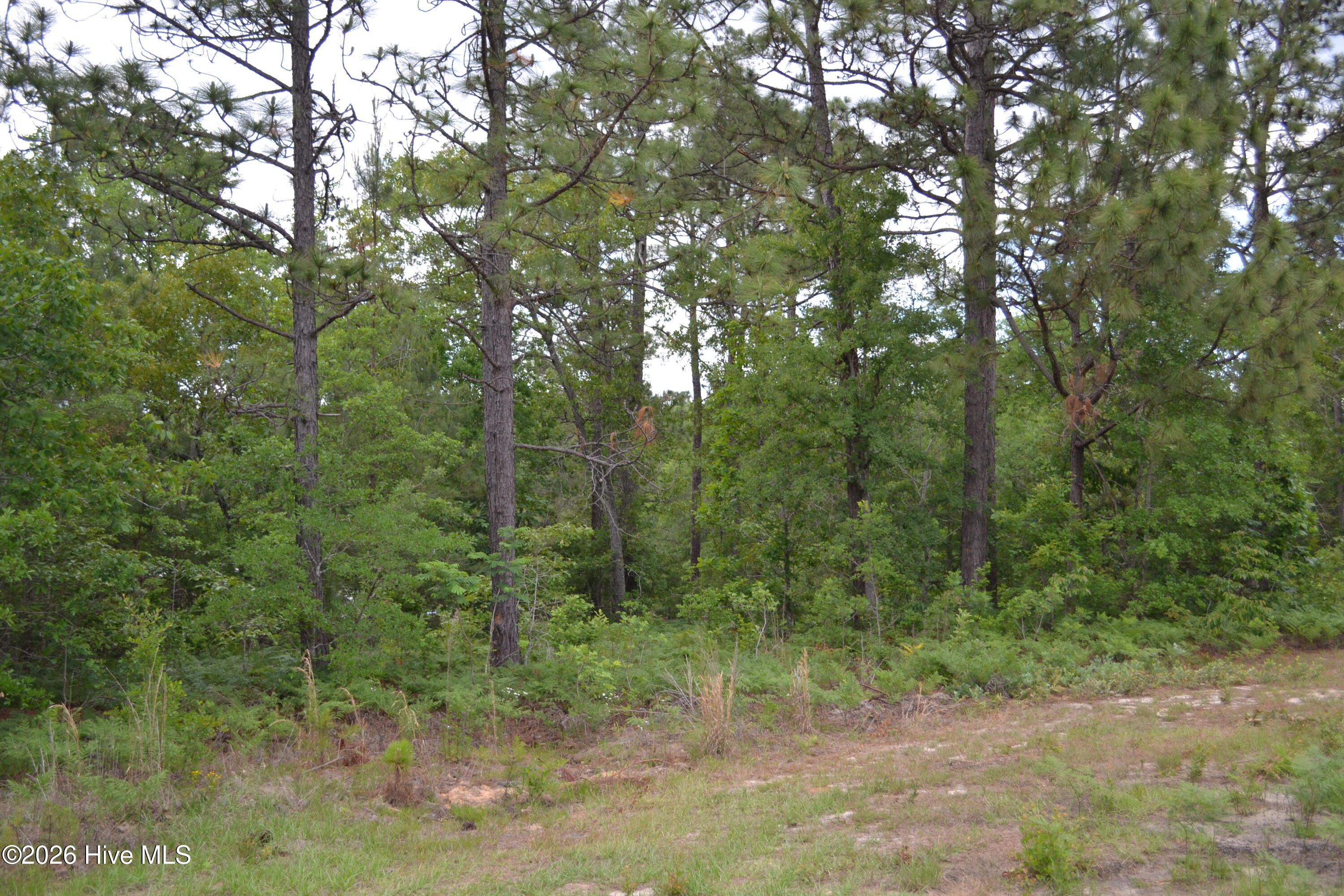 0 Old Barnwell Road Aiken, SC 29803 - Photo 3 of 20 Old Barnwell Rd (30)