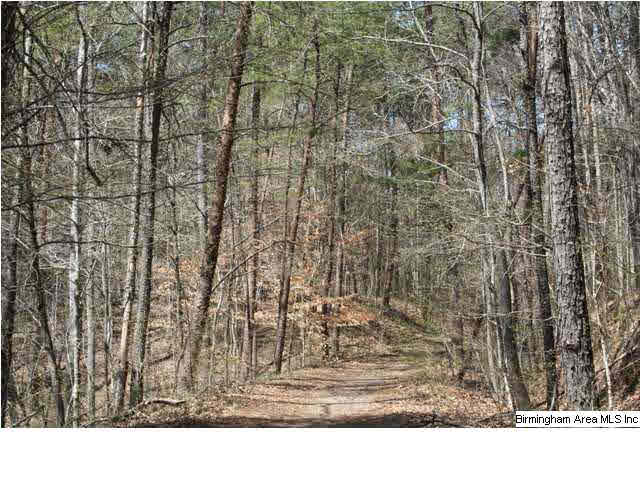 Narrows Road, Unit 168 Remlap, AL 35133 - Photo 18 of 21
