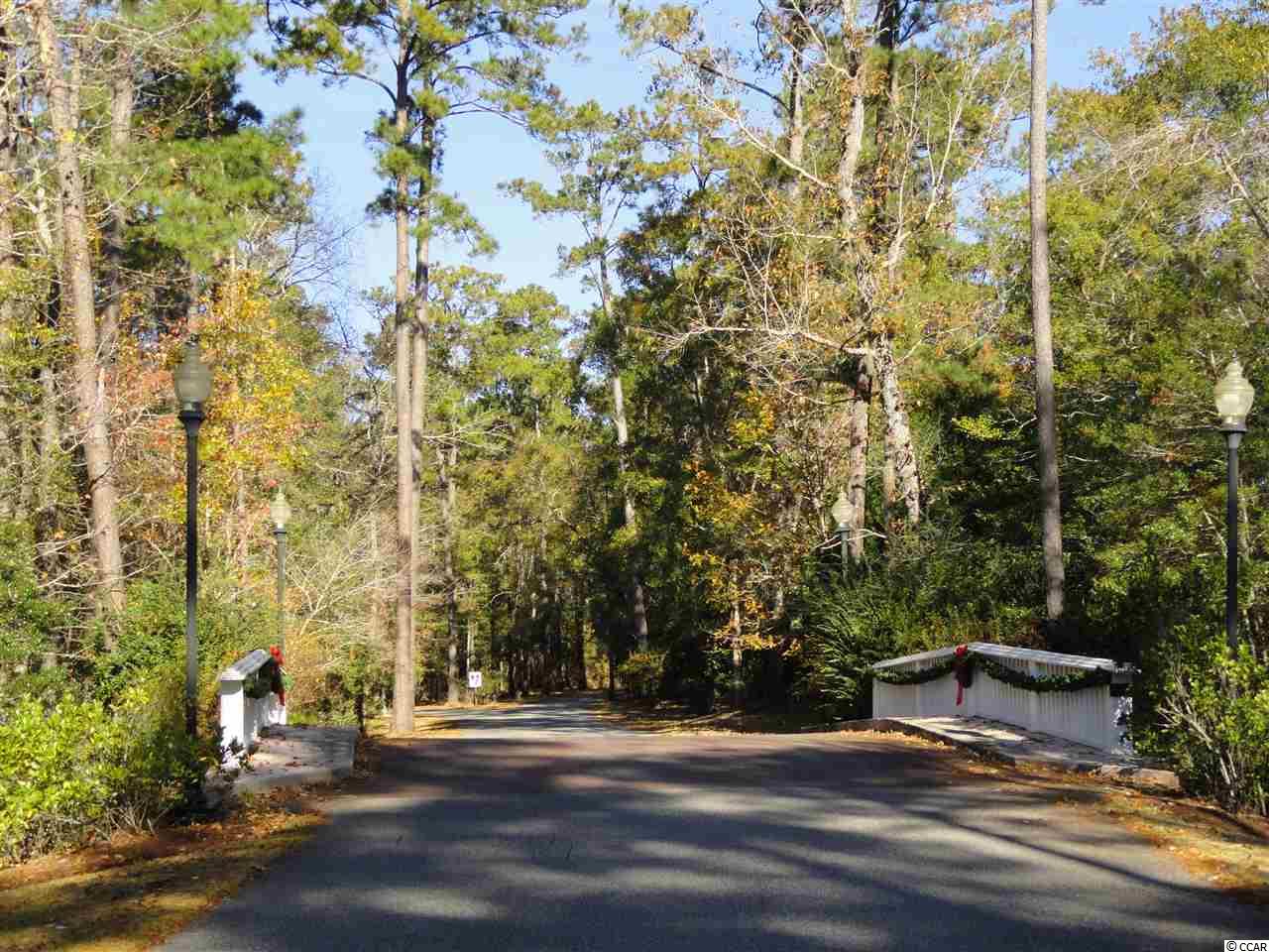 55 Pineberry Drive Georgetown, SC 29440 - Photo 40 of 40
