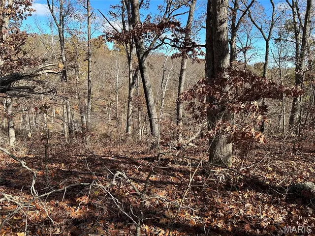 $39,999 | 0 Partridge 8.02 Acres, Climax Springs, MO 65324