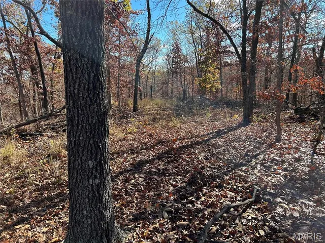 $39,999 | 0 Partridge 8.02 Acres, Climax Springs, MO 65324