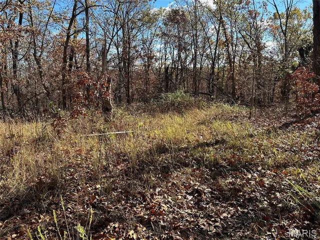 $39,999 | 0 Partridge 8.02 Acres, Climax Springs, MO 65324