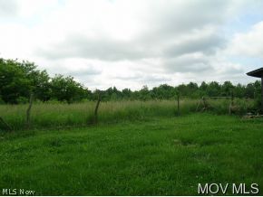 798 Mayle Ridge Road Cutler, OH 45724 - Photo 4 of 5