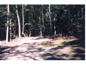 0 Dyer Hollow Road, Unit 1 Mohawk, TN 37810 - Photo 1 of 6 Photo 1