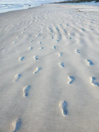 $795,000 | 1753 Castile Street, St. Augustine, FL 32080