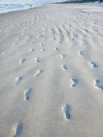 $795,000 | 1753 Castile Street, St. Augustine, FL 32080