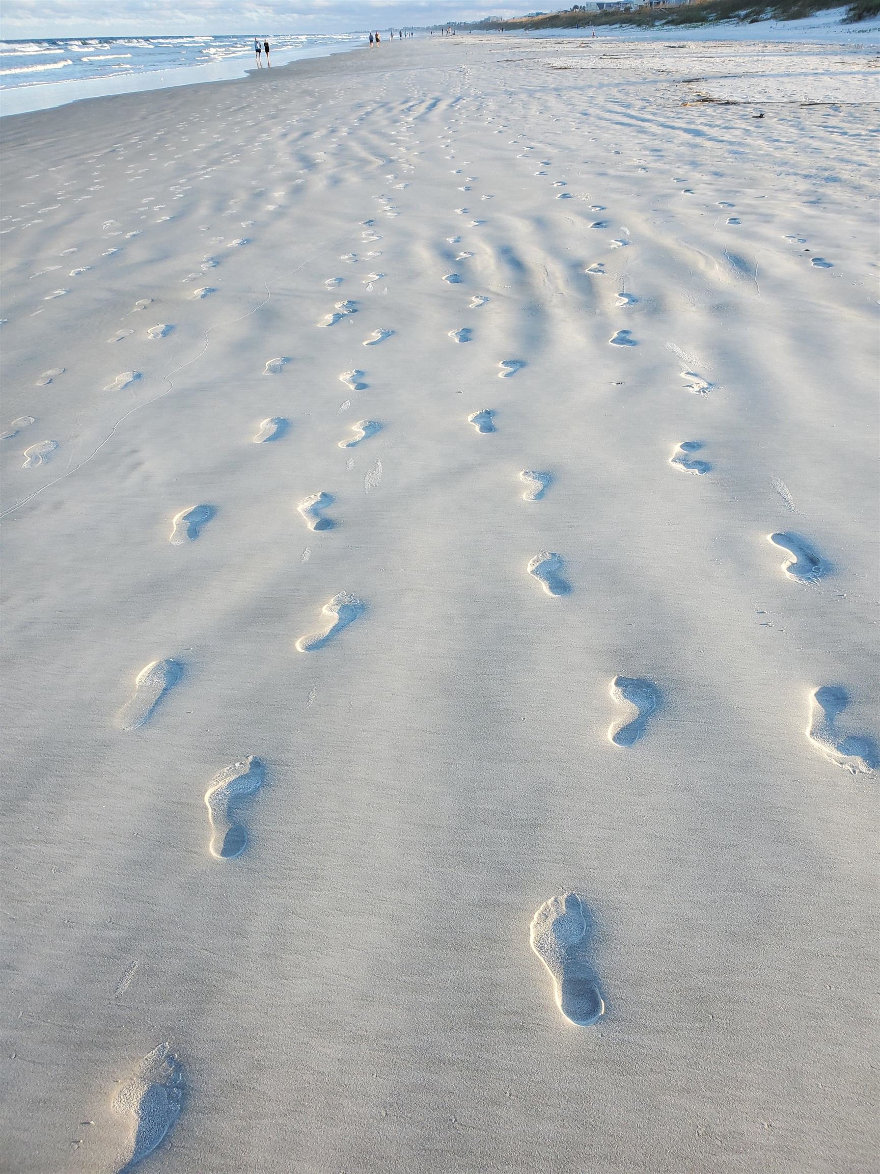 1753 Castile Street St. Augustine, FL 32080 - Photo 44 of 45