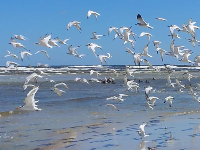 $795,000 | 1753 Castile Street, St. Augustine, FL 32080