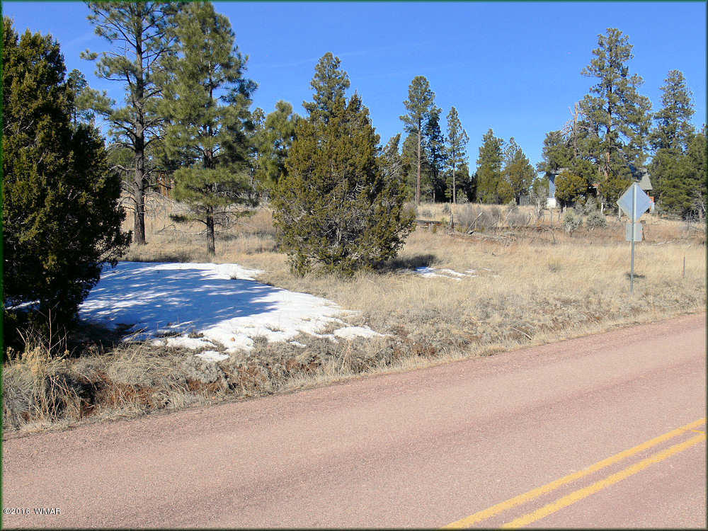2904 Buckskin Canyon Road Heber, AZ 85928 - Photo 1 of 5
