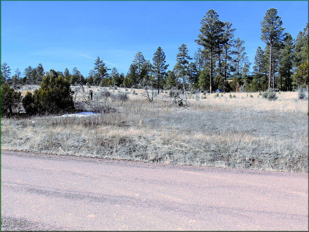 2904 Buckskin Canyon Road Heber, AZ 85928 - Photo 2 of 5