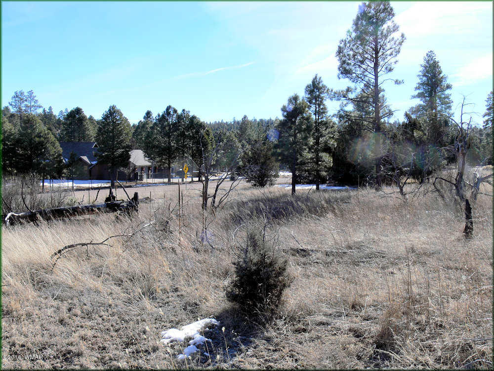2904 Buckskin Canyon Road Heber, AZ 85928 - Photo 4 of 5