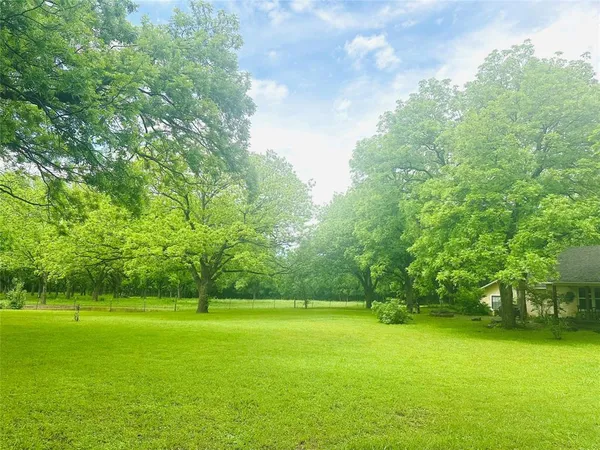 a view of a field of grass and trees