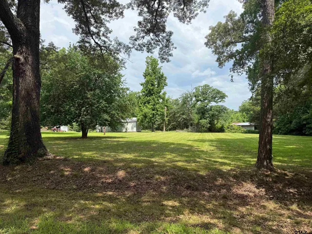 a view of a yard with large trees