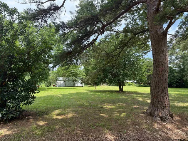 a view of yard with tree