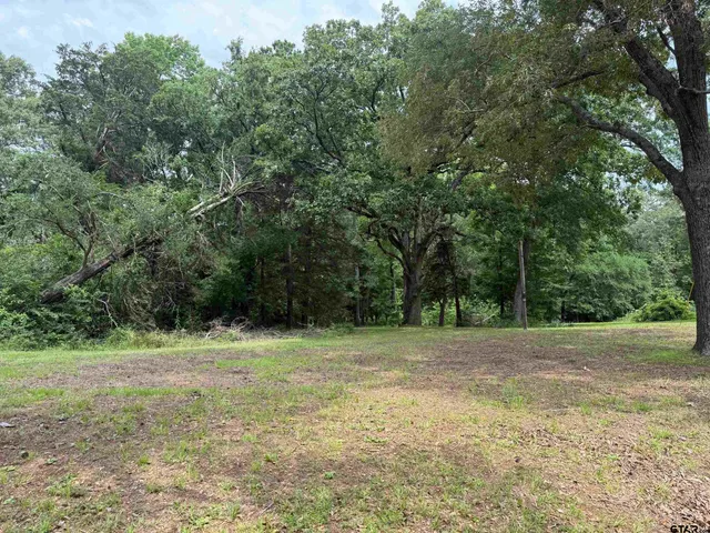 a view of a field with trees in the background