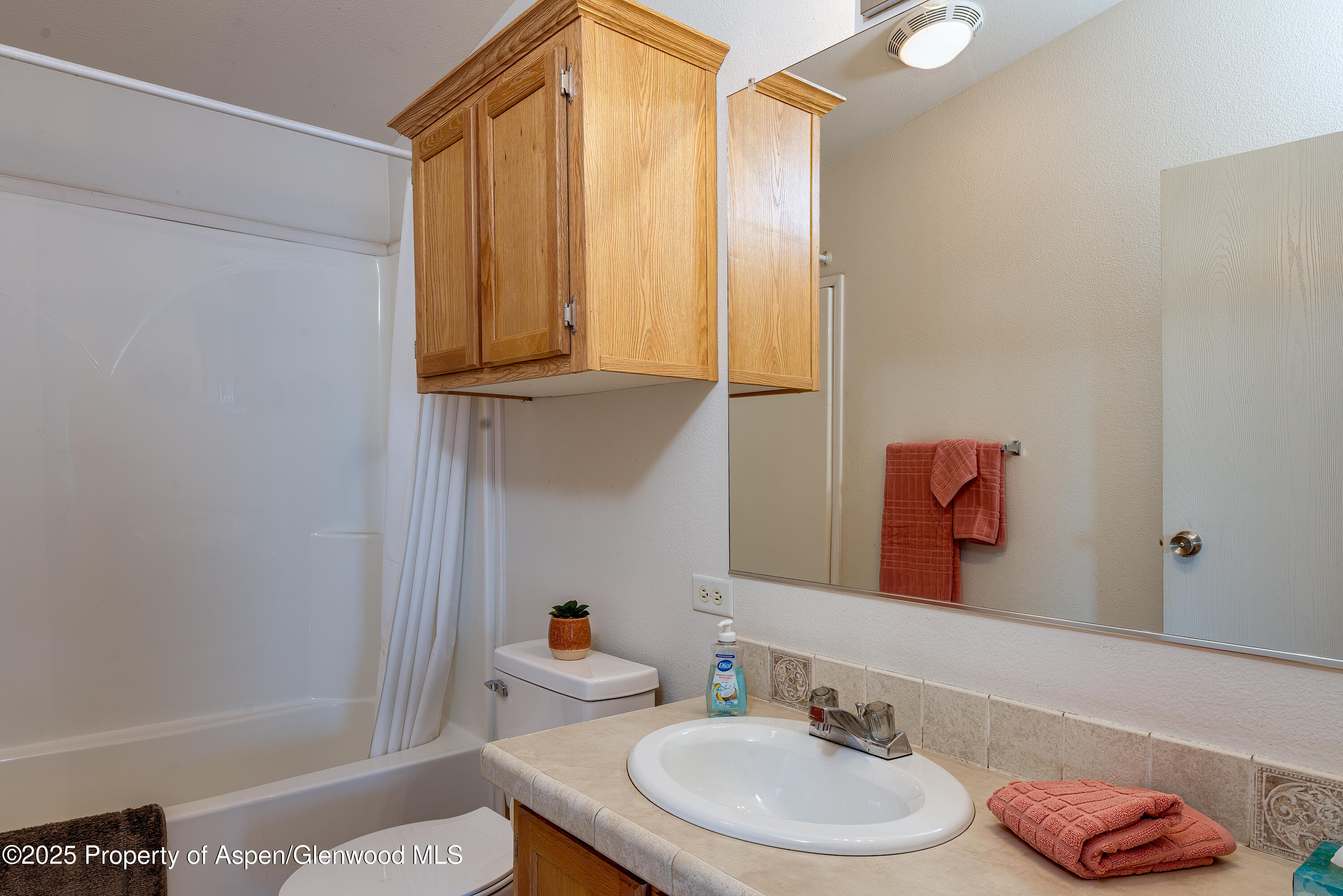114 Rusty Spur Trail Rifle, CO 81650 - Photo 28 of 47 a bathroom with a sink and a mirror