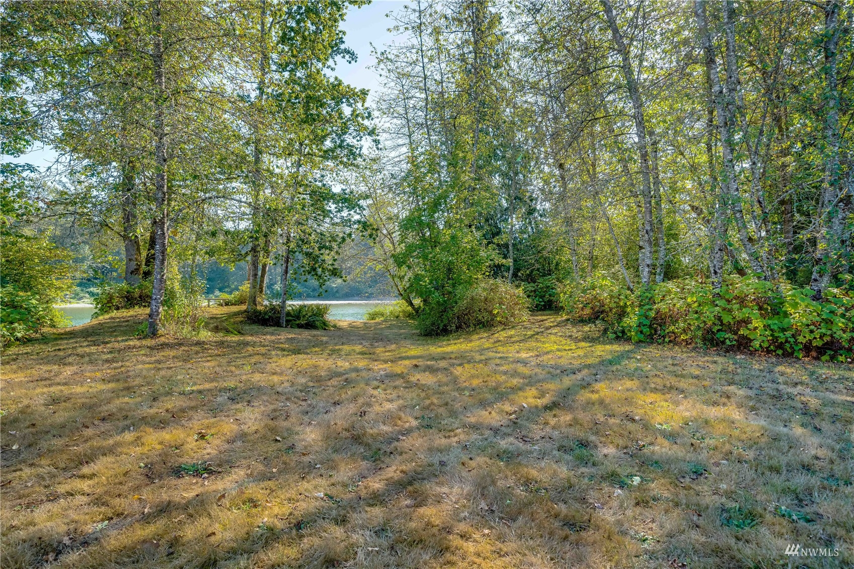 809 Dyer Road Sultan, WA 98294 - Photo 28 of 39 a view of a field with trees in the background