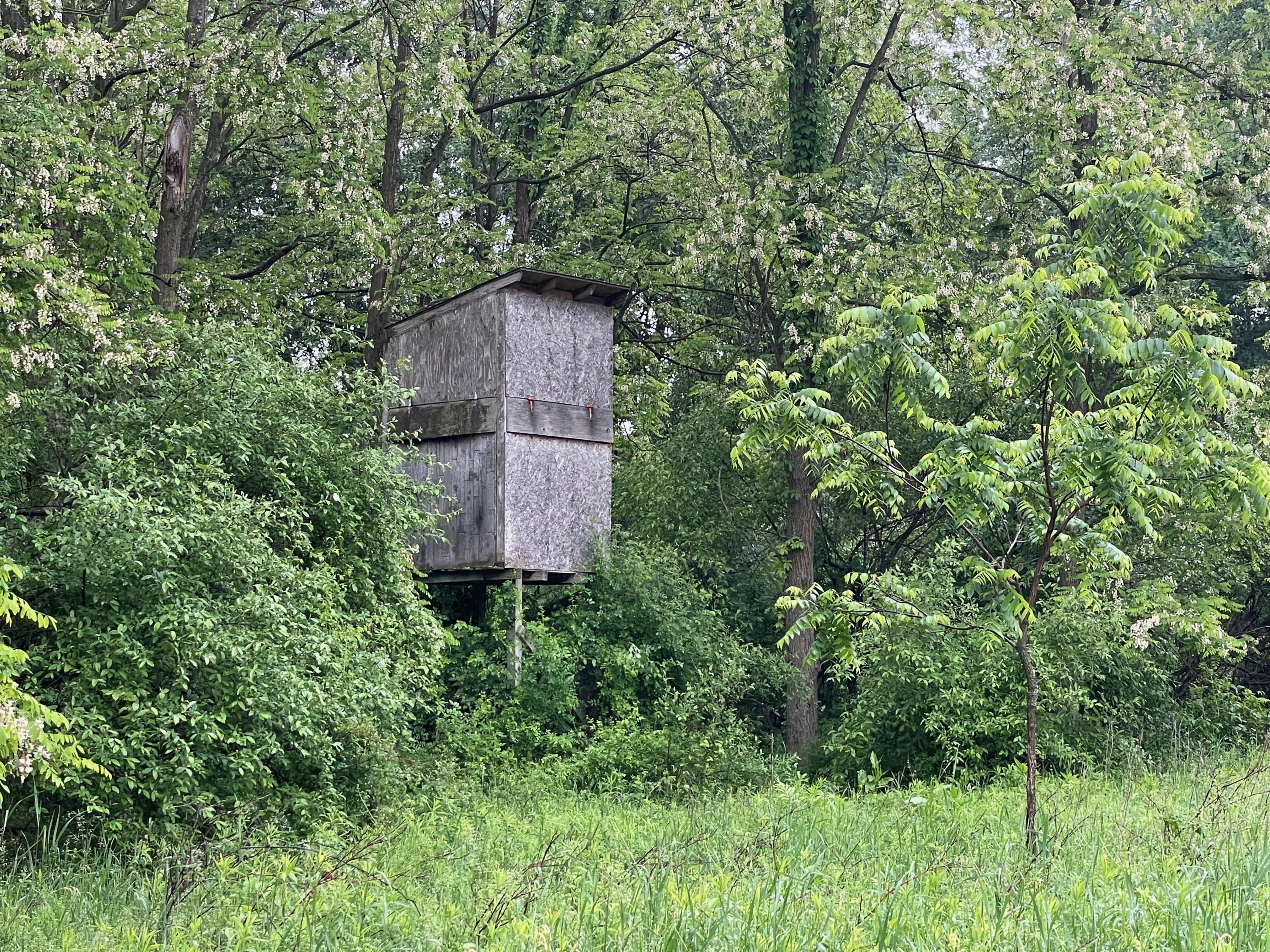 0 East Jefferson Road Hart, MI 49420 - Photo 2 of 7 60 acres with 4 hunting blinds