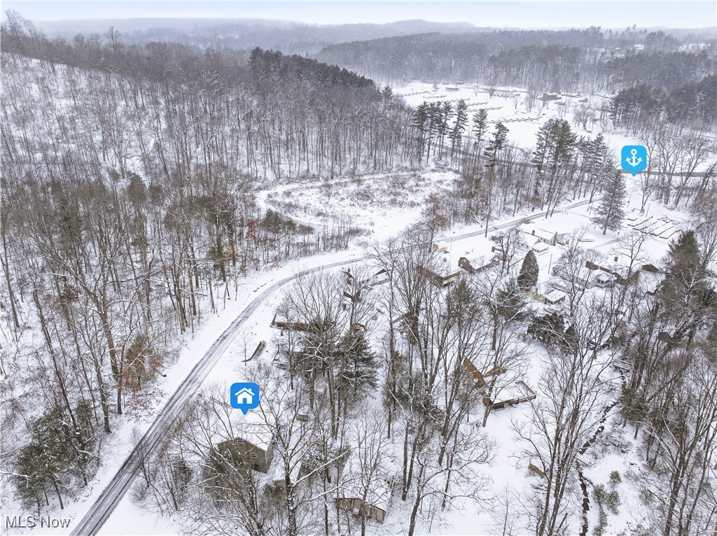 4254 Doral Road Southwest Carrollton, OH 44615 - Photo 7 of 46 Snowy aerial view with a wooded view