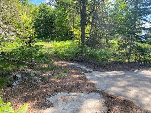 9600 North Whitefish Point Road Paradise, MI 49768 - Photo 13 of 16 Gallery Image 13