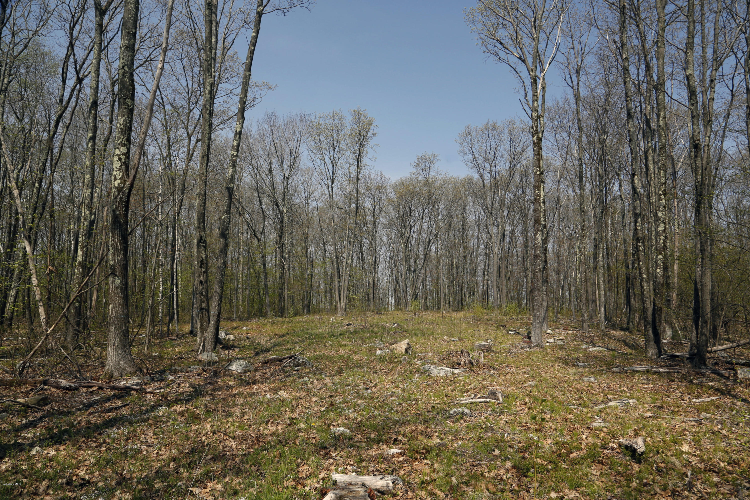 0 Norfolk Road Southfield, MA 01259 - Photo 1 of 8 Q_Land_Plot_2_08